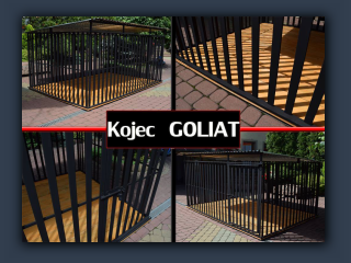 Goliat001.jpg